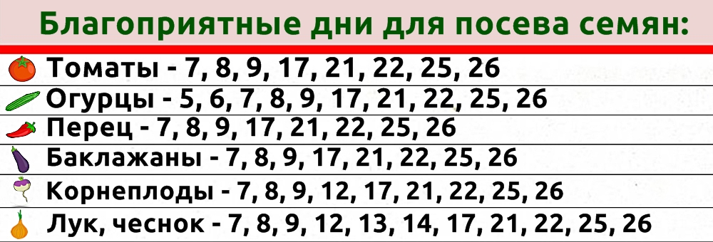 Благоприятные дни для росписи в году: Как выбрать идеальную дату для свадьбы