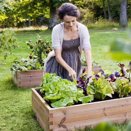 viljele-vihanneksia-ja-yrttejä-viljelylaatikossa-ruukussa-parvekelaatikossa-kasvihuoneessa-tai-kasvatussäkissä-square