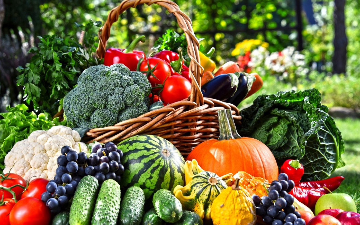 Ноябрь 2022 – Лунный посевной календарь садовода, огородника и цветовода!