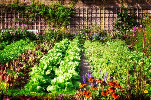 august-gardening-tips-gardener-s-almanac-a-monthly-guide-to-gardening-august-from-august-gardening-tips