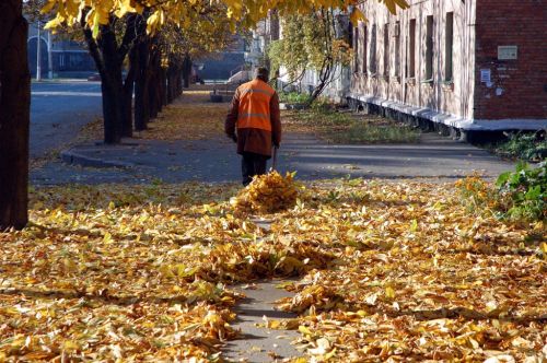 уборка листвы в городе