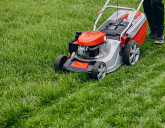 Ухаживаем за газоном ПРАВИЛЬНО!