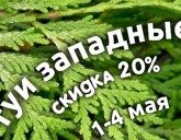 СКИДКА 20 % на ВСЕ ТУИ ЗАПАДНЫЕ