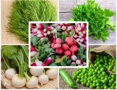 Что ПОСАДИТЬ и ПОСЕЯТЬ в ИЮЛЕ?