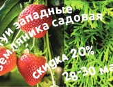 Скидка 20% на все ТУИ ЗАПАДНЫЕ И ЗЕМЛЯНИКУ