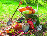 Удачный ЛУННЫЙ ПОСЕВНОЙ КАЛЕНДАРЬ на СЕНТЯБРЬ 2025 года