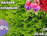 ВЫГОДНЫЕ ВЫХОДНЫЕ В САДОВЫХ ЦЕНТРАХ С 28 ПО 30 ИЮНЯ