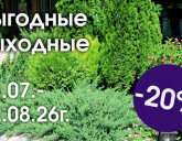ВЫГОДНЫЕ ВЫХОДНЫЕ В НАШИХ САДОВЫХ ЦЕНТРАХ С 31 ИЮЛЯ ПО 2 АВГУСТА!