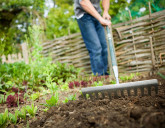 Удачный ЛУННЫЙ ПОСЕВНОЙ КАЛЕНДАРЬ на ИЮНЬ 2025 года