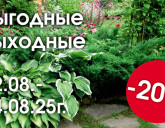 ВЫГОДНЫЕ ВЫХОДНЫЕ 22 - 24 АВГУСТА В НАШИХ САДОВЫХ ЦЕНТРАХ!