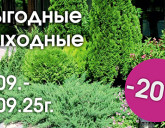 ВЫГОДНЫЕ ВЫХОДНЫЕ 5 - 7 В НАШИХ САДОВЫХ ЦЕНТРАХ!