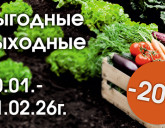 ВЫГОДНЫЕ ВЫХОДНЫЕ 30 ЯНВАРЯ - 1 ФЕВРАЛЯ!