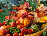 Удачный ЛУННЫЙ ПОСЕВНОЙ КАЛЕНДАРЬ на НОЯБРЬ 2025 года