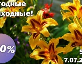 ВЫГОДНЫЕ ВЫХОДНЫЕ В НАШИХ САДОВЫХ ЦЕНТРАХ 5 - 7 ИЮЛЯ