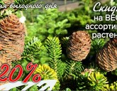 СКИДКА 20 % НА ВЕСЬ АССОРТИМЕНТ РАСТЕНИЙ В САДОВЫХ ЦЕНТРАХ