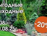 ВЫГОДНЫЕ ВЫХОДНЫЕ 8 - 10 АВГУСТА В НАШИХ САДОВЫХ ЦЕНТРАХ!
