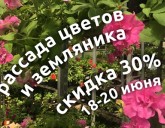 для Вас Скидки 30%!