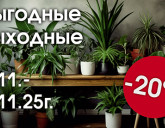 ВЫГОДНЫЕ ВЫХОДНЫЕ 1 - 4 НОЯБРЯ!