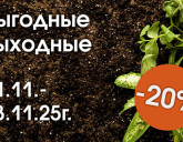 ВЫГОДНЫЕ ВЫХОДНЫЕ 21 - 23 НОЯБРЯ!