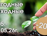 ВЫГОДНЫЕ ВЫХОДНЫЕ С 9 ПО 11 МАЯ!