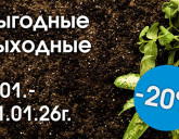 ВЫГОДНЫЕ ВЫХОДНЫЕ 8 - 11 ЯНВАРЯ!