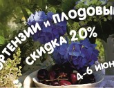 4-6 июня 2021г. скидка 20% на ГОРТЕНЗИИ и ПЛОДОВЫЕ деревья и кустарники