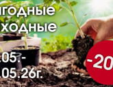 ВЫГОДНЫЕ ВЫХОДНЫЕ С 29 ПО 31 МАЯ!