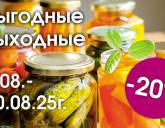 ВЫГОДНЫЕ ВЫХОДНЫЕ 8 - 10 АВГУСТА!