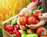 Удачный ЛУННЫЙ ПОСЕВНОЙ КАЛЕНДАРЬ на АВГУСТ 2025 года