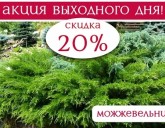 Жаркая скидка 20% на ВЕСЬ ассортимент МОЖЖЕВЕЛЬНИКОВ!