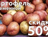 СКИДКА 50% на СЕМЕННОЙ КАРТОФЕЛЬ