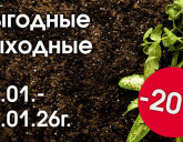 ВЫГОДНЫЕ ВЫХОДНЫЕ 23 - 25 ЯНВАРЯ!