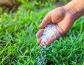 Классические удобрения. Как правильно применять?