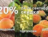 24-26 сентября для Вас скидка 20% на ПЛОДОВЫЕ, ГОРТЕНЗИИ и РОЗЫ!