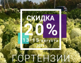 Скидка 20% на все ГОРТЕНЗИИ!