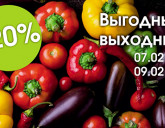 ВЫГОДНЫЕ ВЫХОДНЫЕ 7 - 9 ФЕВРАЛЯ!