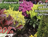 СКИДКА 20 % НА ВСЕ РАСТЕНИЯ В НАШИХ САДОВЫХ ЦЕНТРАХ