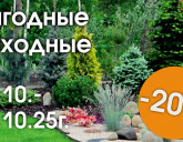 ВЫГОДНЫЕ ВЫХОДНЫЕ 17- 19 ОКТЯБРЯ В НАШИХ САДОВЫХ ЦЕНТРАХ!