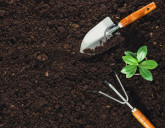 СЕМЕНА, УДОБРЕНИЯ, ГРУНТЫ! БОЛЬШОЕ ПОСТУПЛЕНИЕ