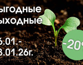 ВЫГОДНЫЕ ВЫХОДНЫЕ 16 - 18 ЯНВАРЯ!