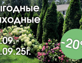 ВЫГОДНЫЕ ВЫХОДНЫЕ 26 - 28 СЕНТЯБРЯ В НАШИХ САДОВЫХ ЦЕНТРАХ!