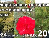 С 22 по 24 октября СКИДКА 20% на декоративные кустарники, сосны и можжевельники!