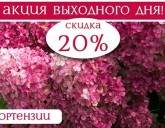 СКИДКА 20% НА ВСЕ ГОРТЕНЗИИ с 22 по 24 июля!