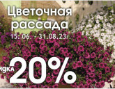 Скидка 20% на цветочную рассаду