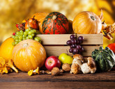 Удачный ЛУННЫЙ ПОСЕВНОЙ КАЛЕНДАРЬ на ОКТЯБРЬ 2025 года