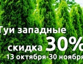 ТУИ ЗАПАДНЫЕ СО СКИДКОЙ 30%