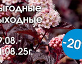 ВЫГОДНЫЕ ВЫХОДНЫЕ 29 - 31 АВГУСТА В НАШИХ САДОВЫХ ЦЕНТРАХ!