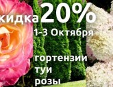 СКИДКА 20% на ТУИ, РОЗЫ и ГОРТЕНЗИИ! 1-3 Октября!