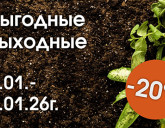 ВЫГОДНЫЕ ВЫХОДНЫЕ 3 - 7 ЯНВАРЯ!