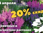 СКИДКА 20% НА ЛУКОВИЧНЫЕ И МНОГОЛЕТНИЕ РАСТЕНИЯ